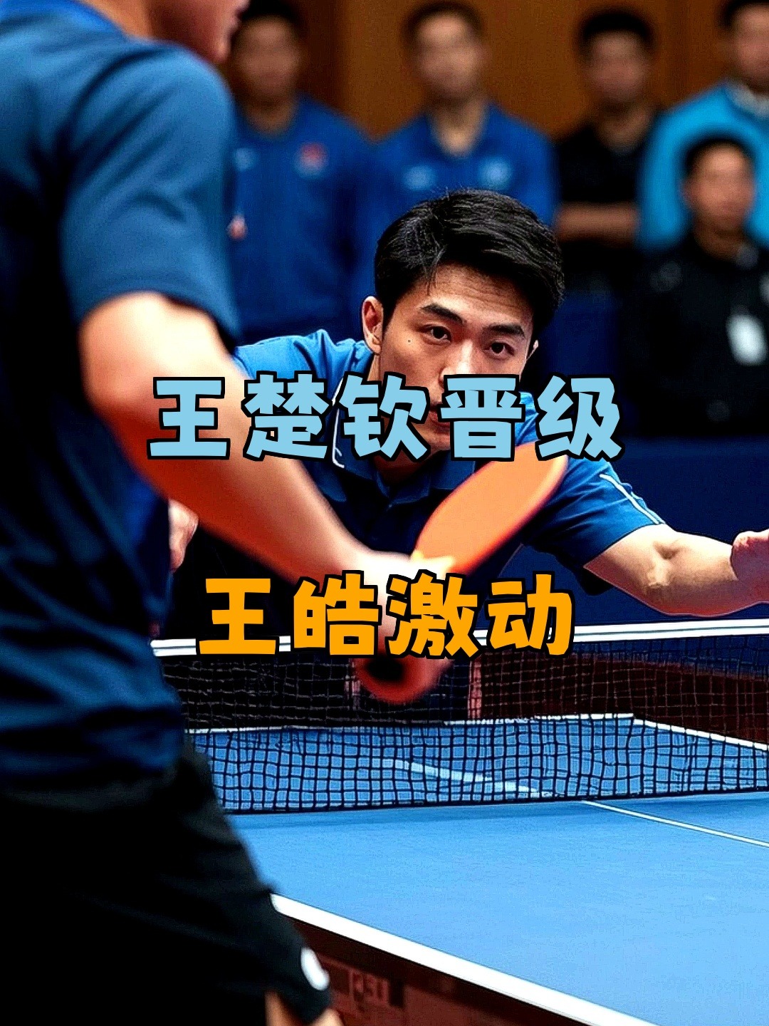 波兰乒乓球队完胜法国乒乓球队，王皓一己之力扛起全队的简单介绍
