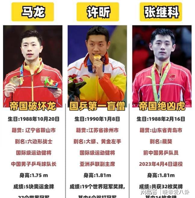 德国乒乓球队力克波兰乒乓球队，张继科统治全场的简单介绍
