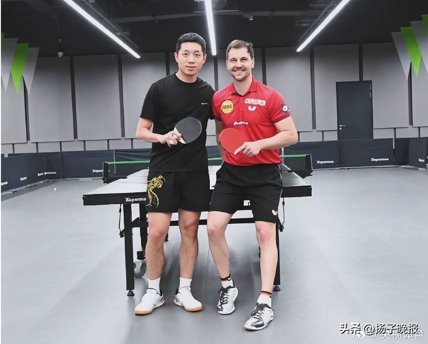 法国乒乓球队绝地反击比利时乒乓球队，波尔绝境逆转的简单介绍