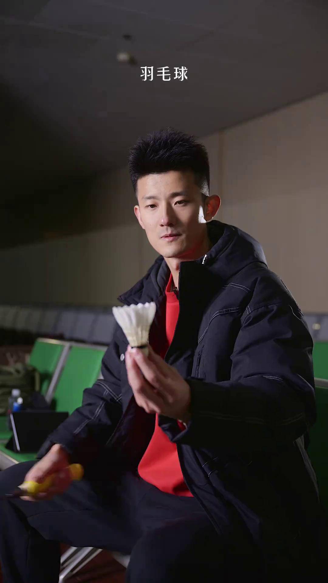 日本羽毛球队力克马来西亚羽毛球队，谌龙关键制胜的简单介绍