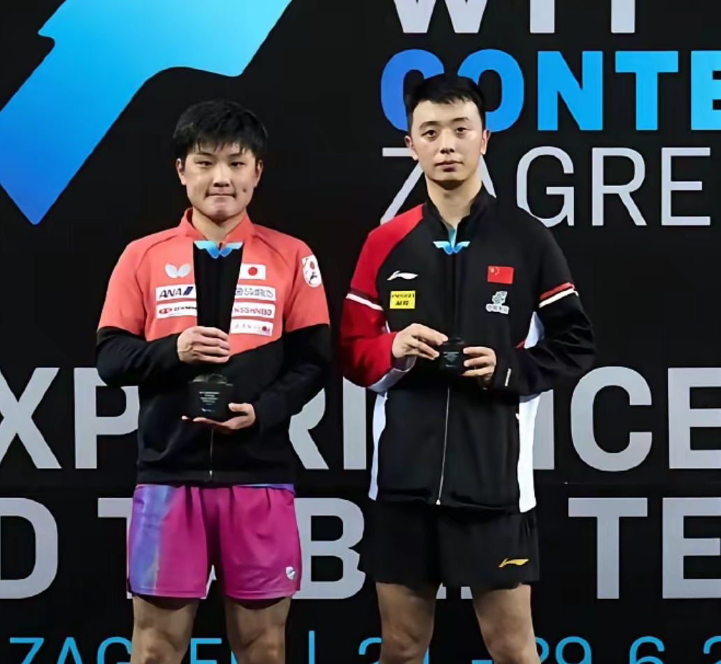 关于葡萄牙队横扫瑞典队,张本智和统治全场的信息 关于葡萄牙队横扫瑞典队,张本智和统治全场的信息