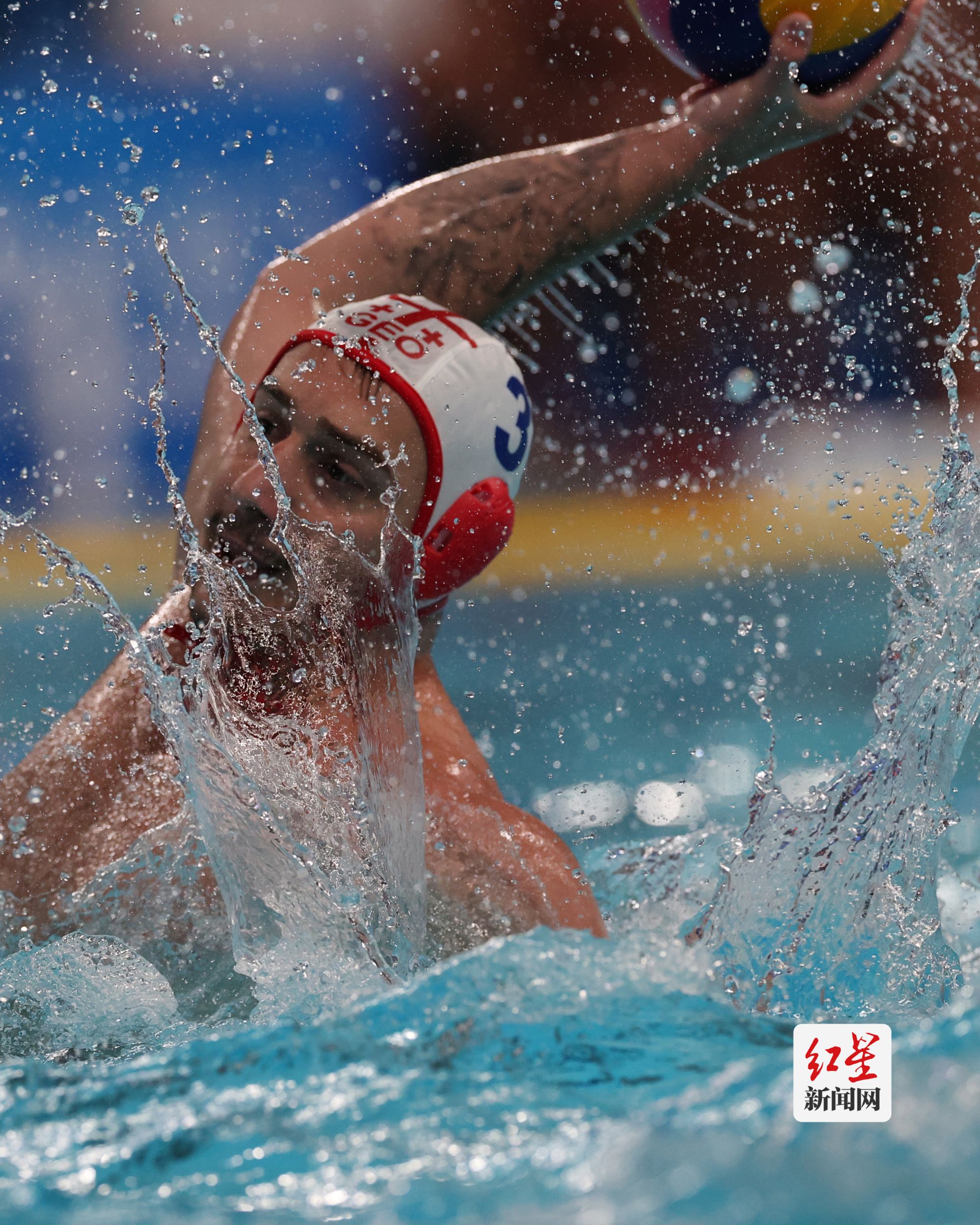 体育界最顶尖运动员们的精彩表现