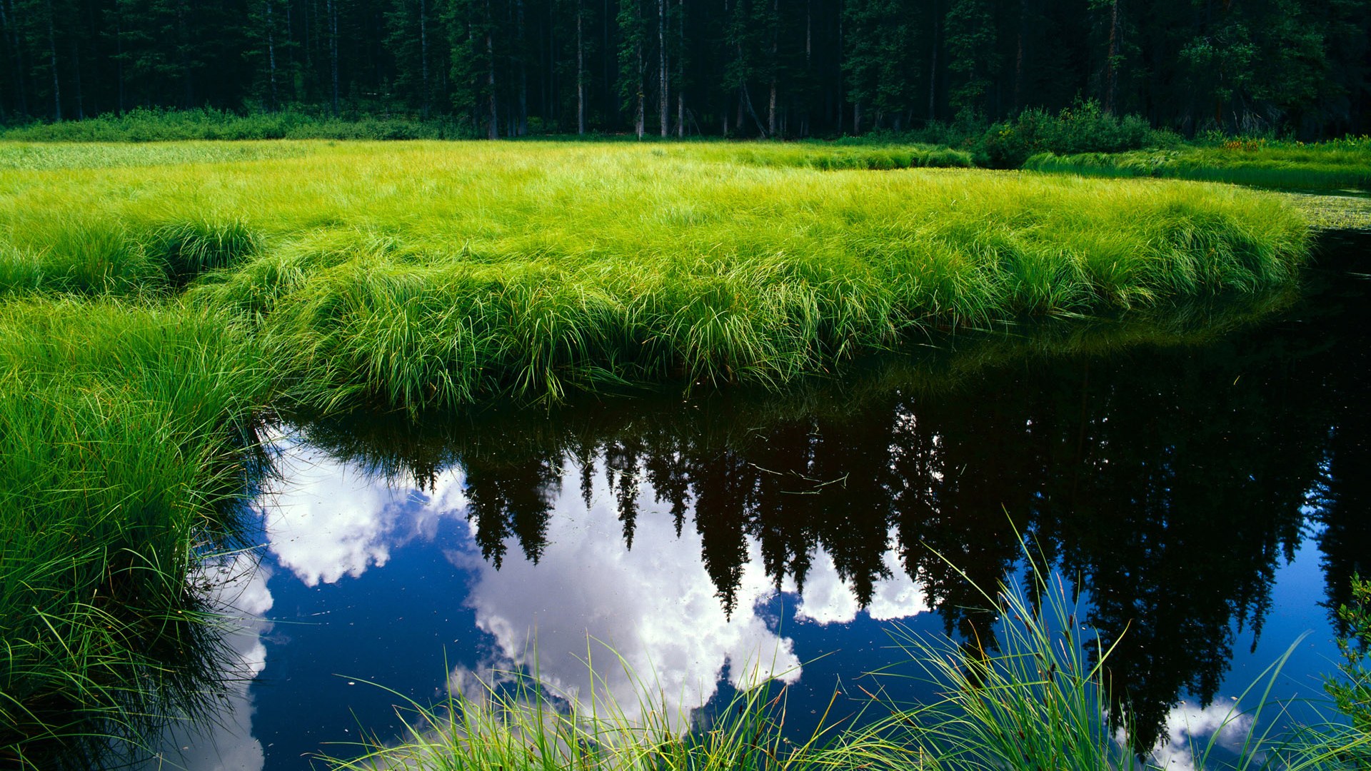 赖斯关键节点连续得分,厄瓜多尔收割英格兰—战术博弈与意外结局