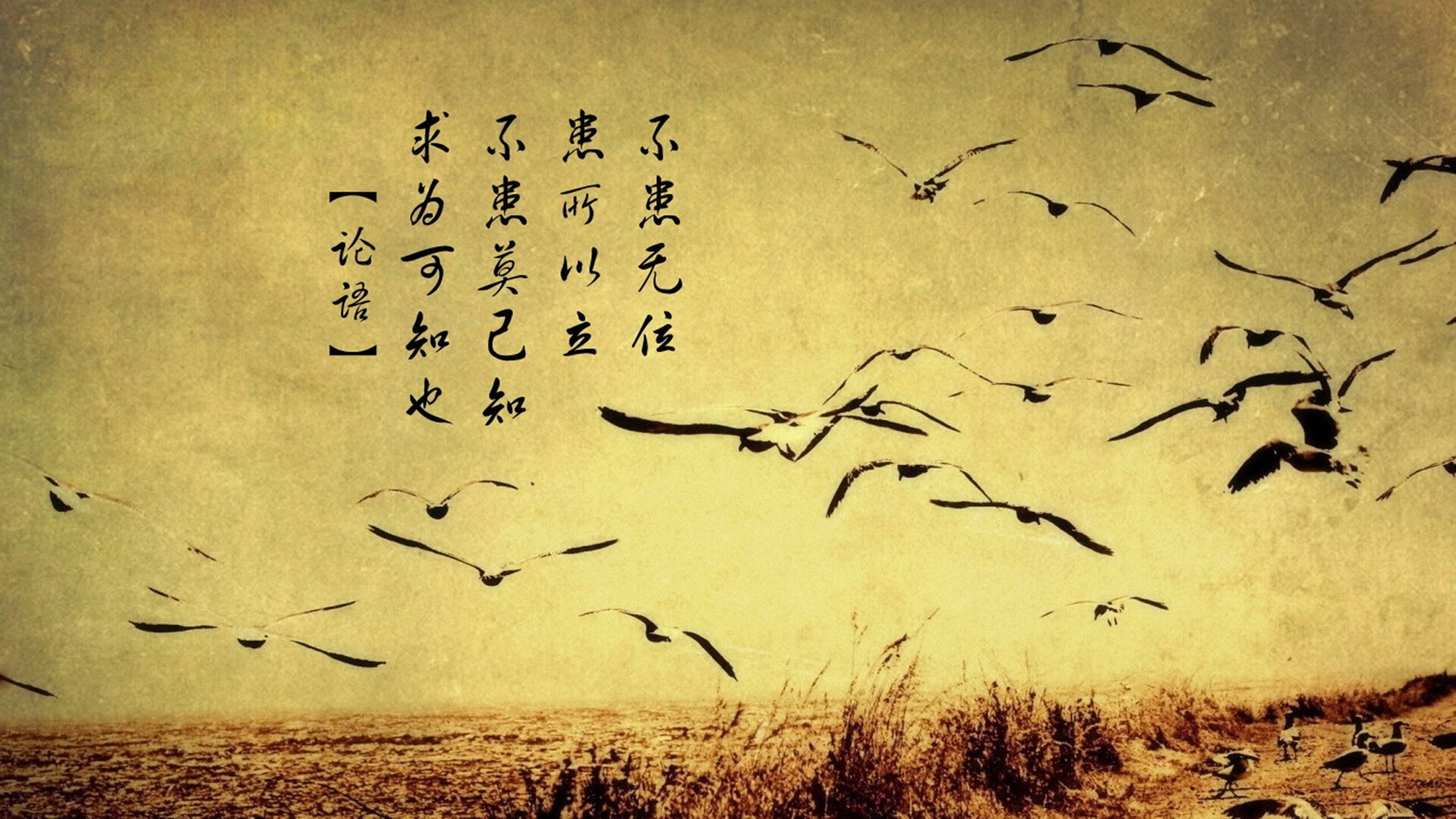 绝境突围!深圳队关键战逆袭热火,西亚卡姆一剑封乾坤