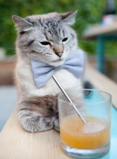 皮克一锤定音，英格兰强势晋级，美国梦碎关键先生之手