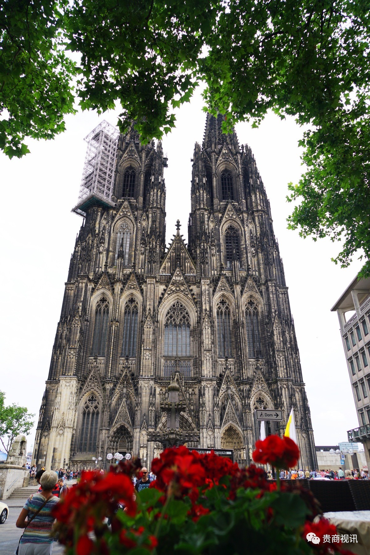 德国对阵冰岛，迎来一场硬战的简单介绍